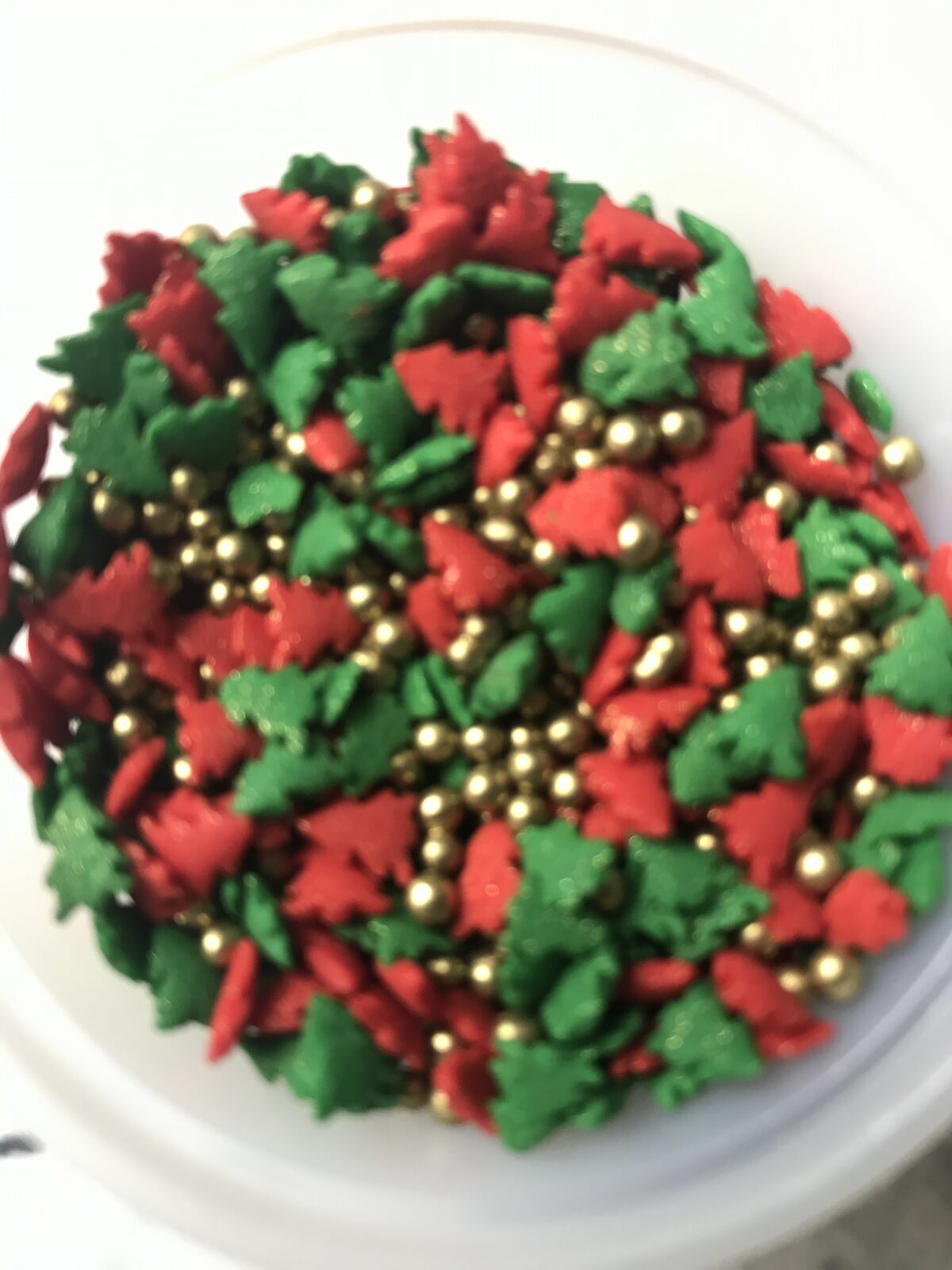 1CC19596-165A-4C4A-8457-1B1093029875